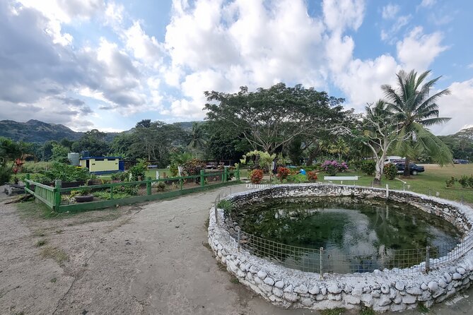 Nadi Tour of Gardens N Village N Mudpool Excluding Entry Fee - Nadi Temple