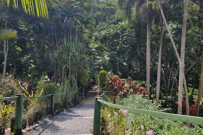 Nadi Tour of Gardens N Village N Mudpool Excluding Entry Fee - Sleeping Giant Garden