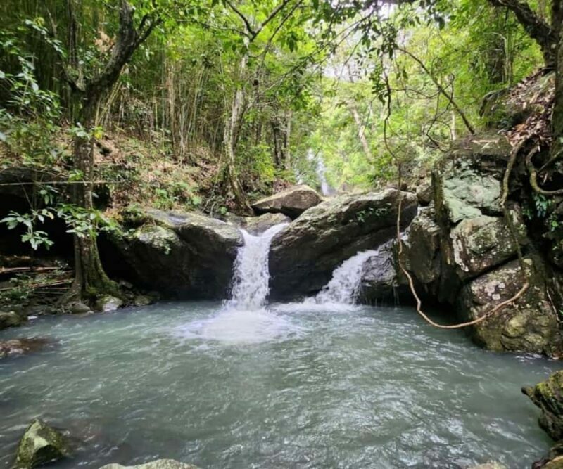 Nadi: Waterfall Tour Adventure with Refreshments and Lunch - A Step Into Nature and Culture