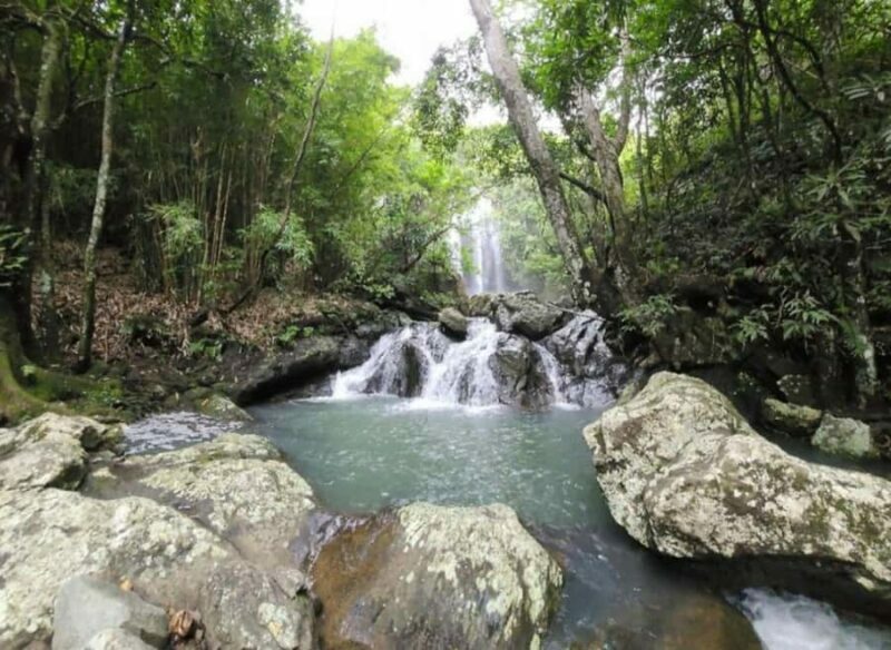 Nadi: Waterfall Tour Adventure with Refreshments and Lunch - Lunch and Local Delights
