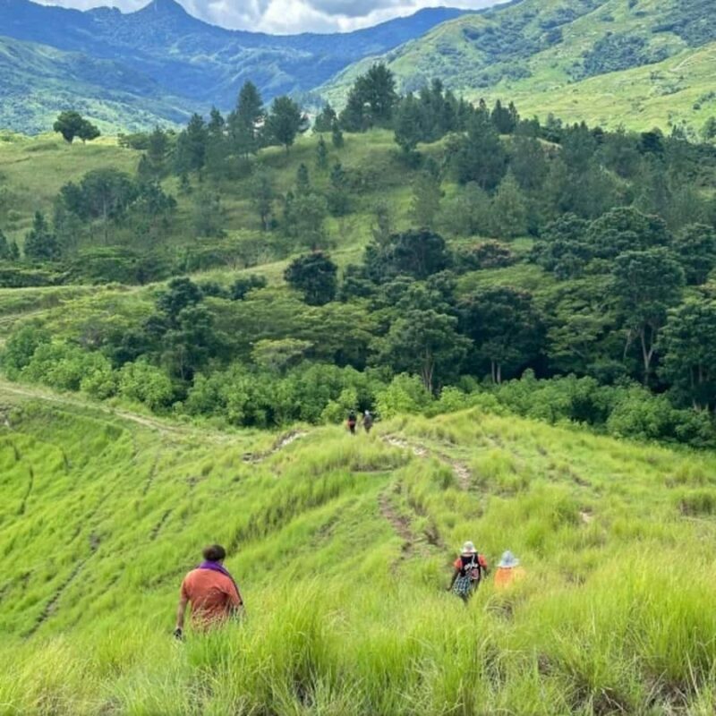 Nadi: Waterfall Tour Adventure with Refreshments and Lunch - Additional Activities: Walks and Horseback Riding