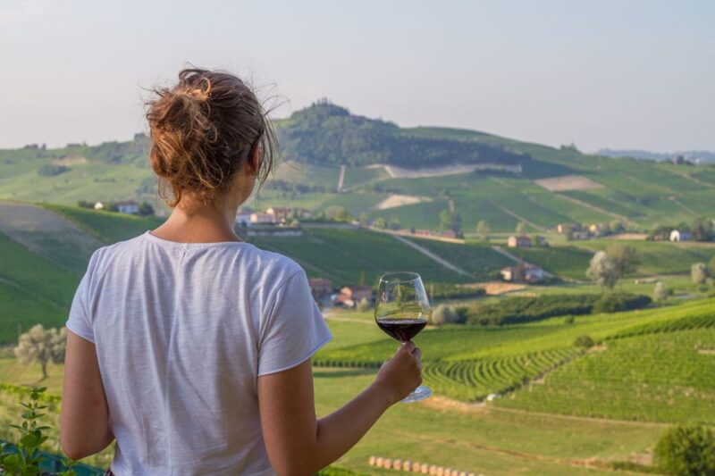 Nafplion: Nemea Vineyards Wine Tour - What Is Included?