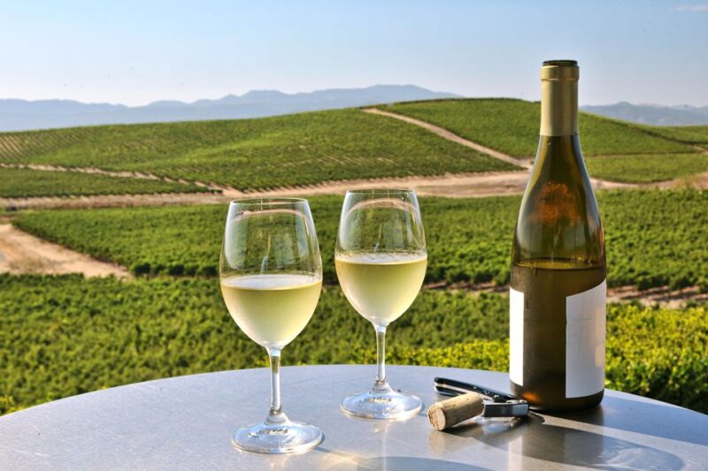 Nafplion: Nemea Vineyards Wine Tour - Age Restrictions
