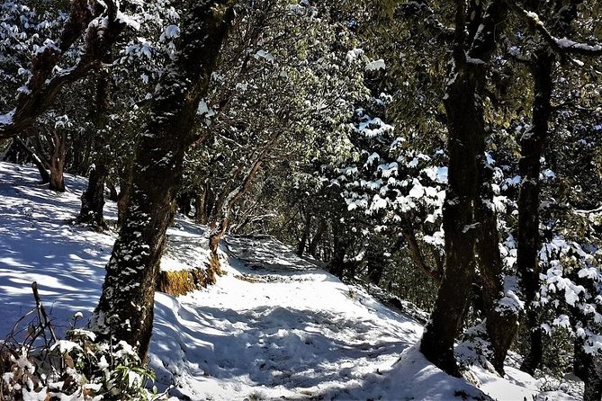 Nag Tibba 2 Days Trek - Recommended Gear