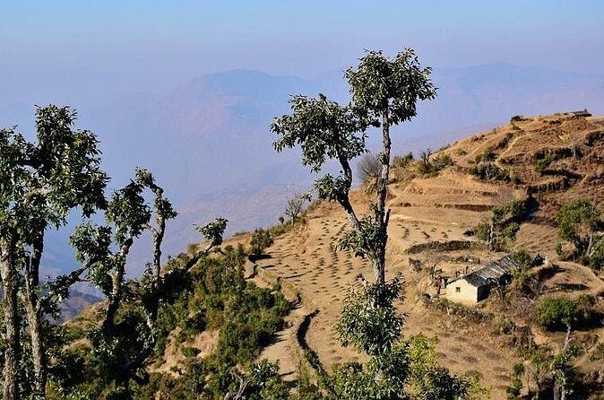 Nag Tibba 2 Days Trek (Pantwari to Pantwari) - The Sum Up: Who Should Consider This Trek?