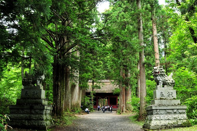 Nagano All Must-Sees Half Day Private Tour With Government-Licensed Guide - Customizable Experiences