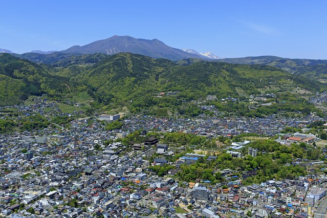 Nagano All Must-Sees Half Day Private Tour With Government-Licensed Guide - Guide Qualifications