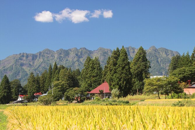 Nagano All Must-Sees Half Day Private Tour With Government-Licensed Guide - Tour Details