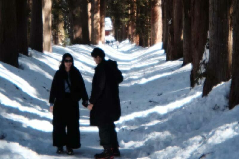 Nagano: Half-Day Private Tour Togakushi Shrine - What Makes This Tour Stand Out?