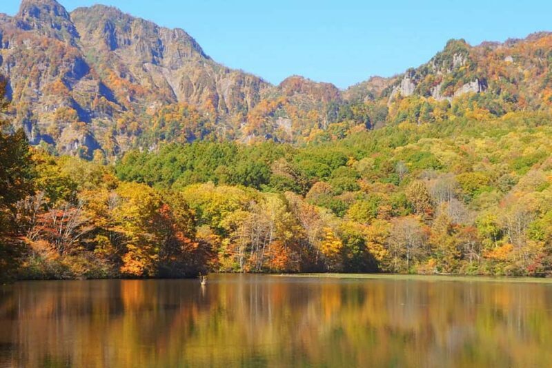 Nagano: Half-Day Private Tour Togakushi Shrine - Who Should Book This Tour?