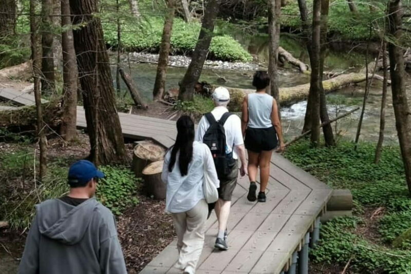 Nagano / Matsumoto / Takayama: Kamikochi Private Tour - Potential Drawbacks and Considerations