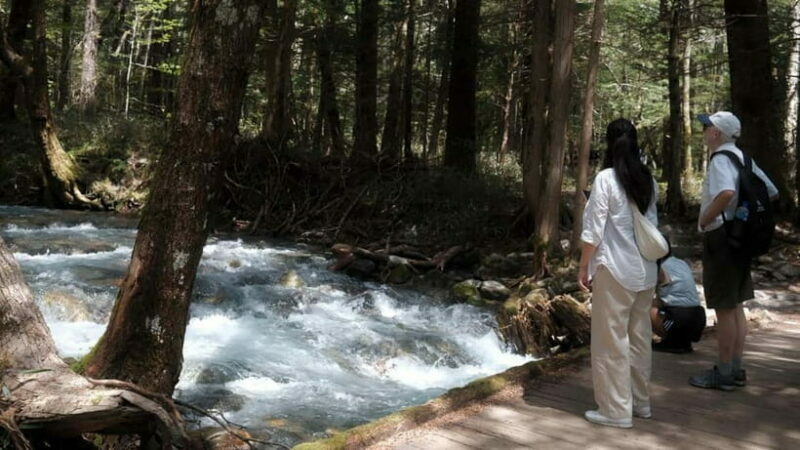 Nagano / Matsumoto / Takayama: Kamikochi Private Tour - Final Thoughts