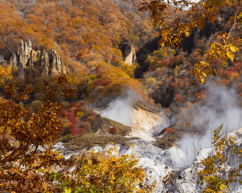 Nagano/Myoko: Jigokudani Snow Monkey Park With Private Car - Key Points