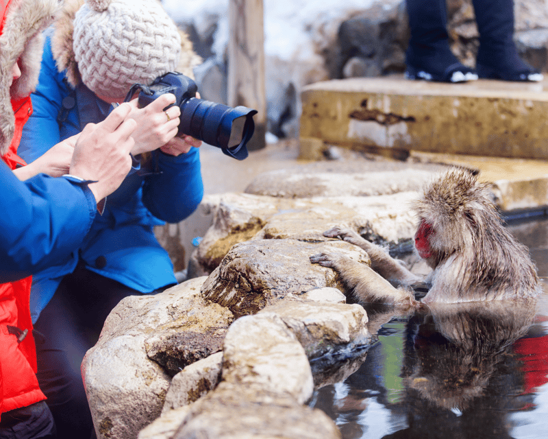 Nagano/Myoko: Jigokudani Snow Monkey Park With Private Car - Highlights of the Itinerary