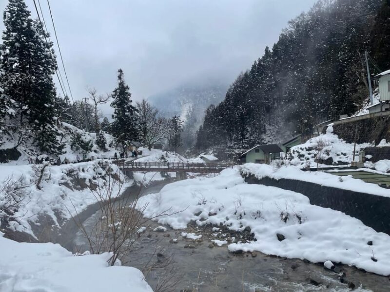 Nagano One Day Private Tour - Jigokudani Monkey Park
