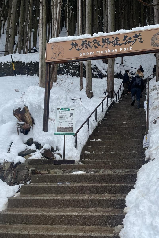 Nagano: Snow Monkey Park, Zenkoji One Day Private Tour - Jigokudani Snow Monkey Park