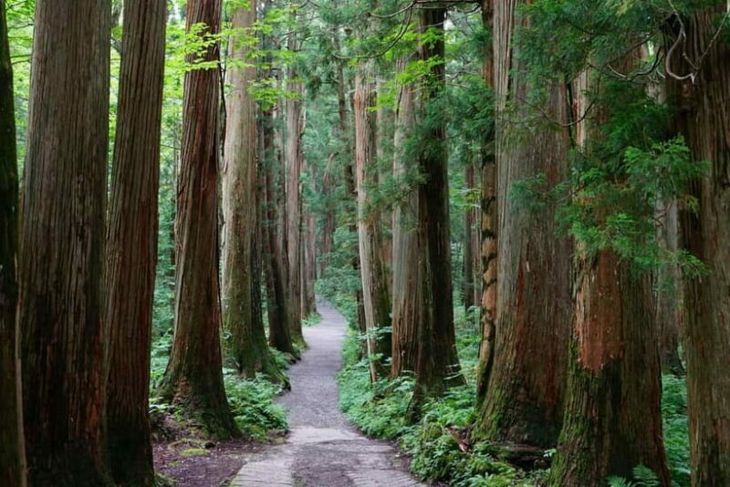 Nagano: Snow Monkeys & Togakushi Shrine Two-Spot in-One Day - Who Is This Tour For?