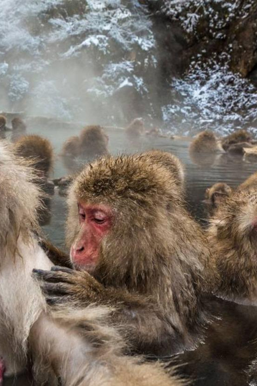 Nagano: Snow Monkeys, Zenko-ji Temple, and Lake Nojiri Tour - Togakushi Shrine