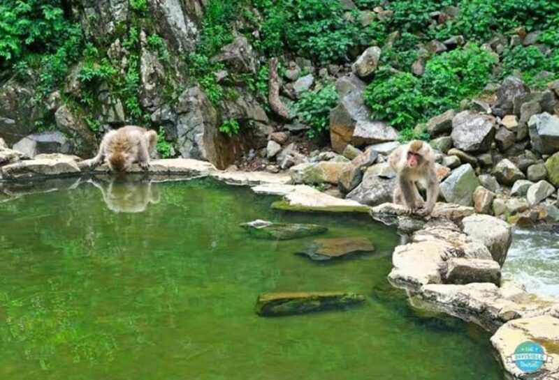 Nagano: Snow Monkeys, Zenko-ji Temple, and Lake Nojiri Tour - Lake Nojiri