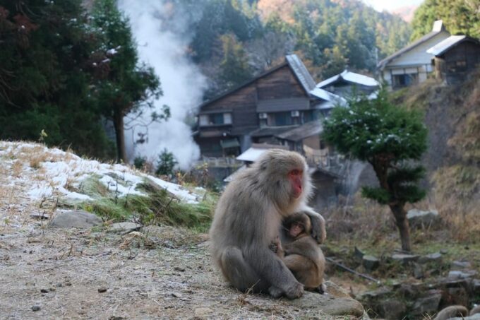 Nagano: Snow Monkeys, Zenkoji Temple & Sake Customized Trip - Booking and Cancellation Policy