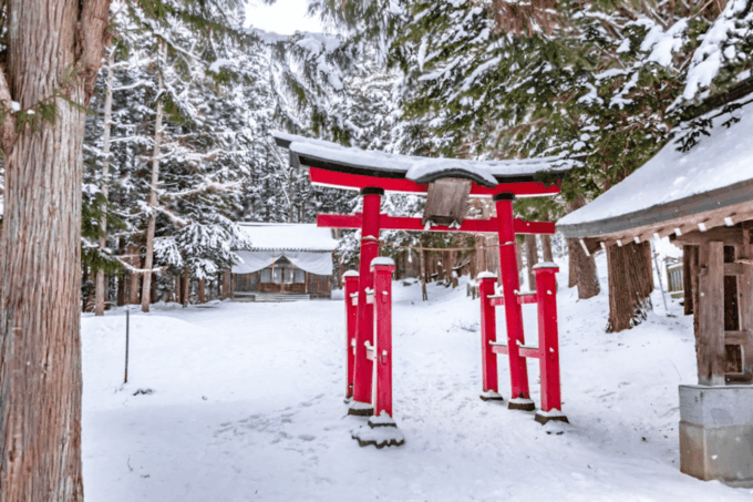 Nagano: Snow Monkeys, Zenkoji Temple - Pickup and Drop-off Service