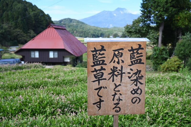 Nagano: Snowboard Riding Experience & Local Life Guided Tour - Accommodation