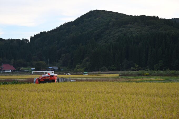 Nagano: Snowboard Riding Experience & Local Life Guided Tour - Interaction With Locals