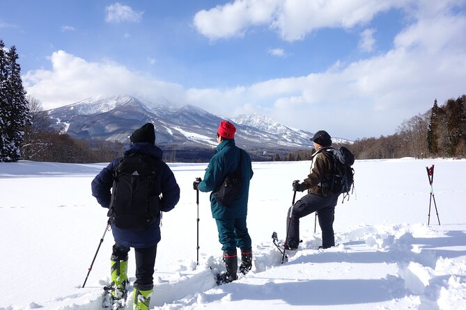 Nagano Snowshoe Hiking Tour - Tour Suitability Considerations