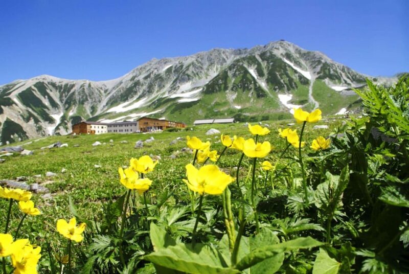 Nagano: Tateyama-Kurobe Guided Walking Tour - Itinerary Highlights