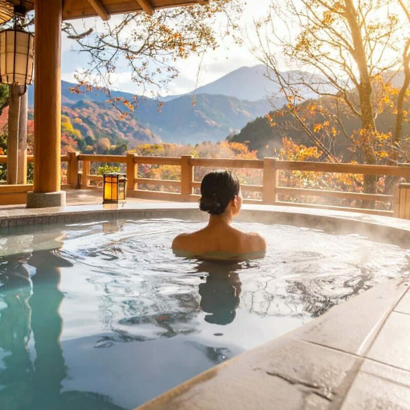 Nagano & Tokyo: Snow Monkey Park Private Tour Customizable - Who Should Consider This Tour?