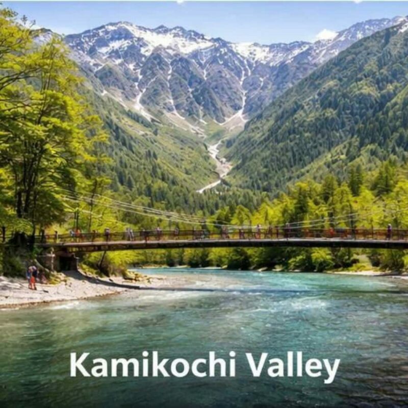 Nagano/Tokyo: Snow Monkey Private Car Tour Hotel Pick & Drop - An In-Depth Look at the Nagano Private Car Tour
