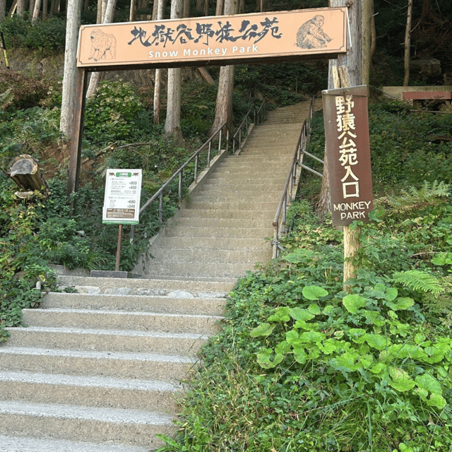 Nagano/Tokyo: Snow Monkey Private Day Tour At Lowest Rate - Key Points
