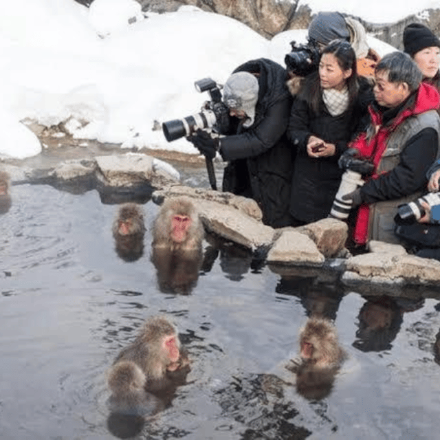 Nagano & Tokyo: Snow Monkey & Zenkoji Temple Private Tour - Matsushiro Castle Ruins: National Historic Site