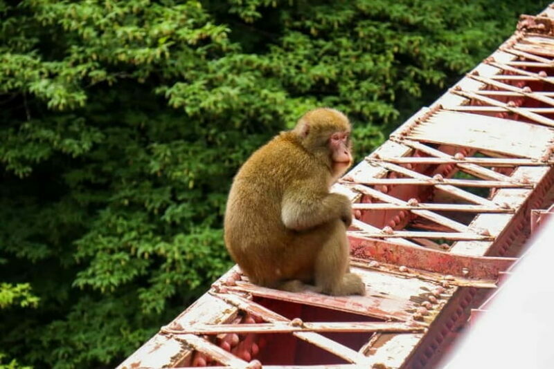 Nagano UNESCO Park: Emerald Acid Lake & Ghibli Onsen Town - FAQ