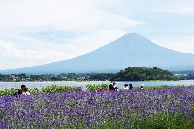 Nagano Zenkoji Temple and Sake Tasting Private Tour From Tokyo - Indulging in the Local Cuisine