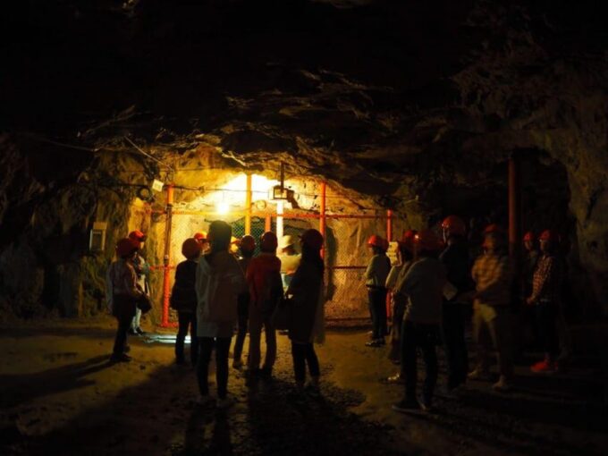 Nagano's Hidden Samurai Town & Tōyō Lantern Festival Tour - Tour Inclusions and Exclusions