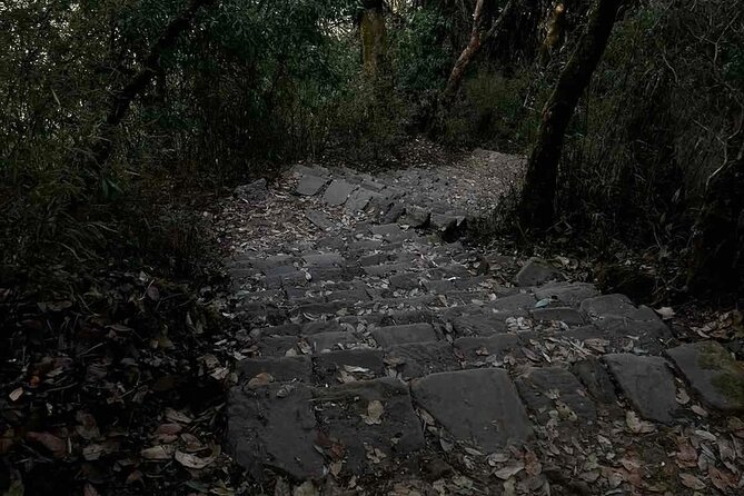 Nagarjun Jamacho Hike - Hiking Near Kathmandu - Customer Reviews