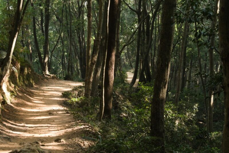 Nagarjun Jamacho Jeep Safari - Experience Highlights