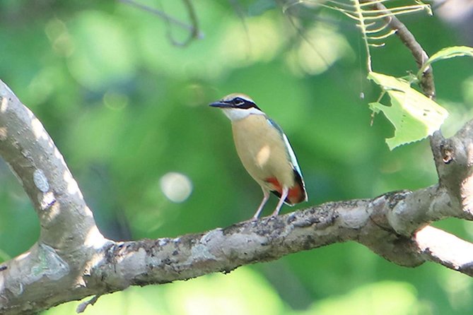 Nagarjung Day Hike - Traveler Reviews