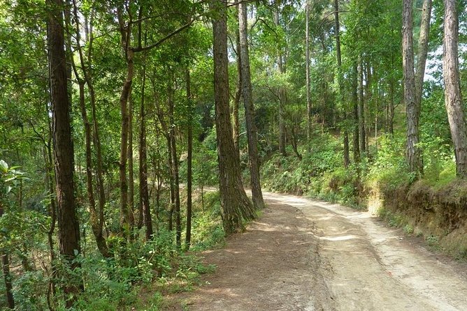 Nagarkot Sunrise View and Day Hike to Changu Narayan Temple - Accessibility and Policy