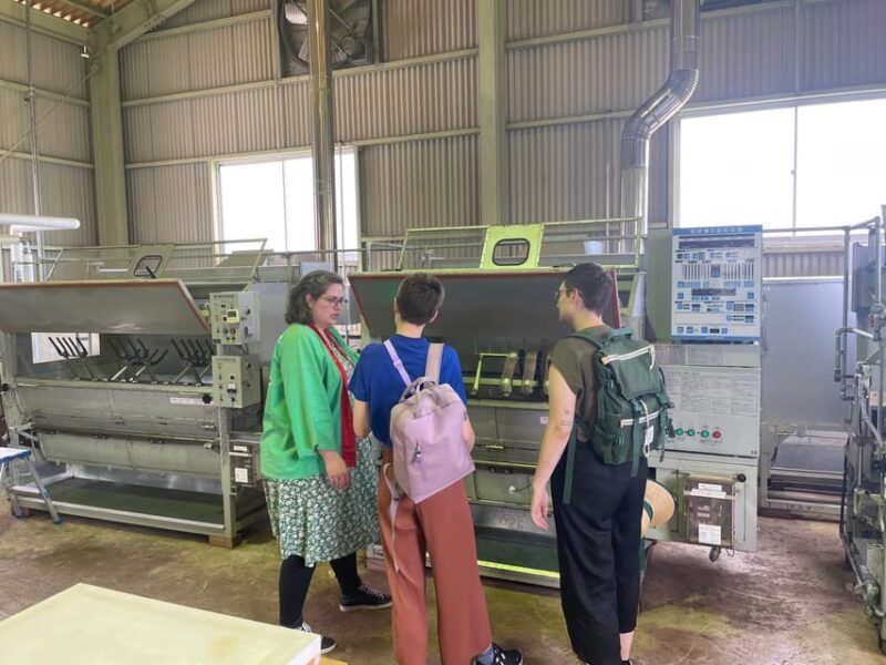 Nagasaki: Explore Japanese Teas on a Tea Tour - Visiting the Tea Factory