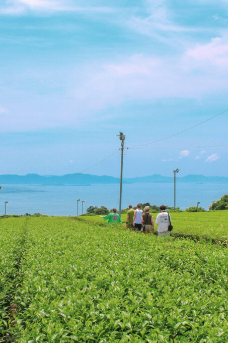 Nagasaki: Explore Japanese Teas on a Tea Tour - Inclusions and Amenities
