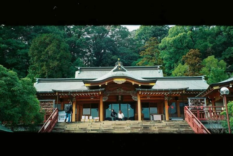 Nagasaki Shrine and Temple Tour with Tea Ceremony - Climbing to Suwa Shrine and Visiting the Animal Park