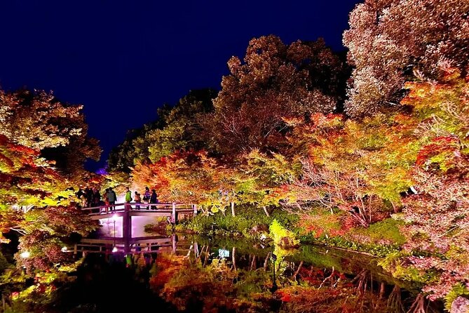 Nagashima Mitsu Outlet and Nabana No Sato Winter Illumination - Gozaisho Ropeway and Lift
