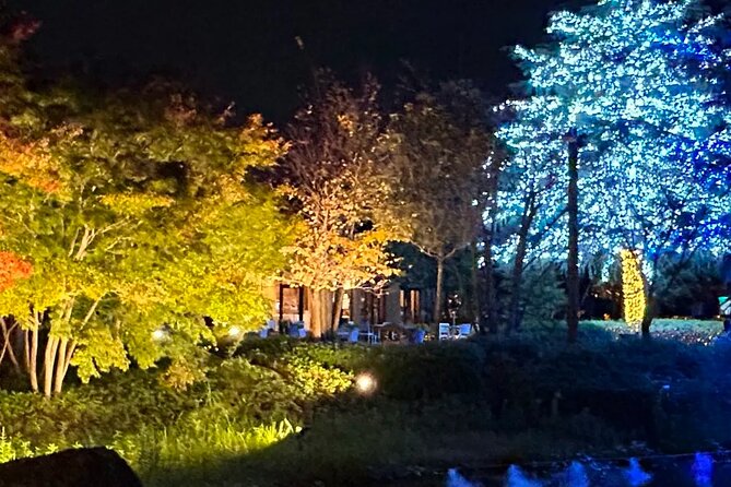 Nagashima Mitsu Outlet and Nabana No Sato Winter Illumination - Aquaignis Onsen