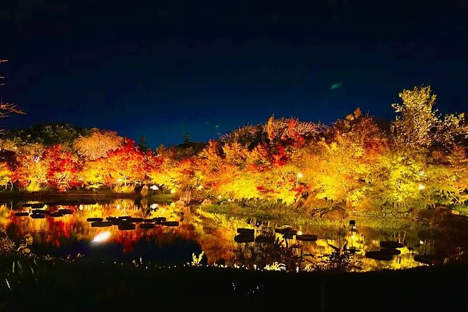 Nagashima Mitsu Outlet and Nabana No Sato Winter Illumination - Inclusions and Exclusions