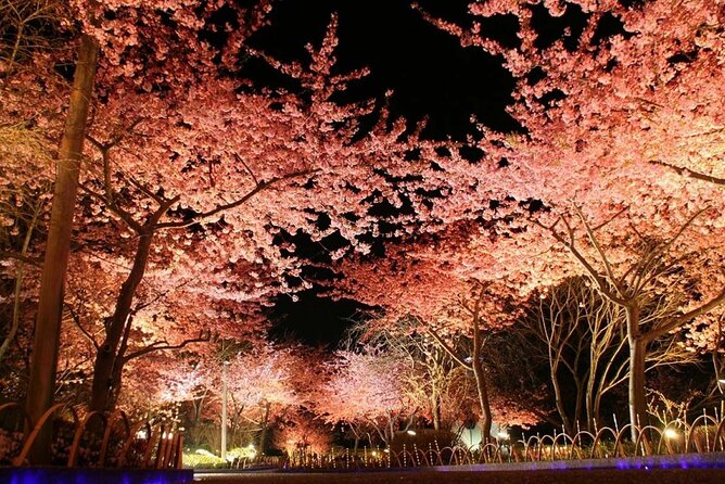 Nagashima Mitsui Park and Nagashima Hot Spring One Day Tour - Meeting and Pickup