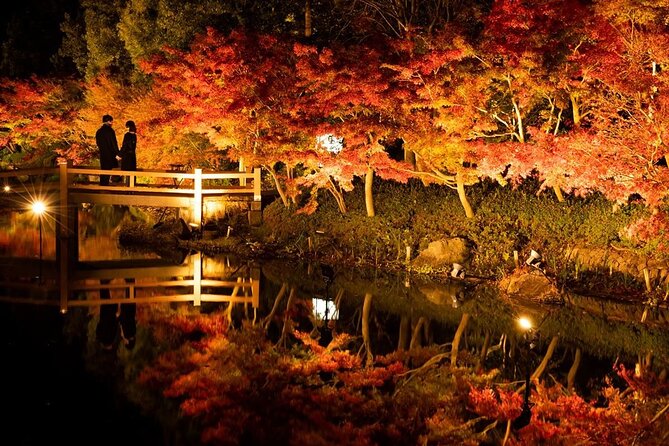 Nagashima Mitsui Park and Nagashima Hot Spring One Day Tour - Inclusions and Costs