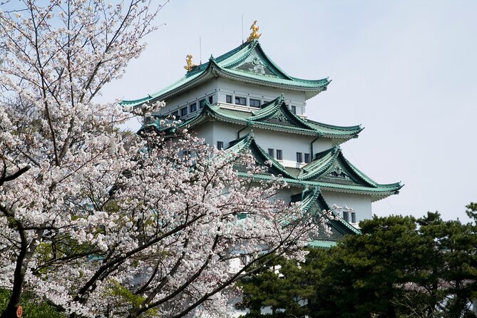 Nagoya Castle Cherry Blossom Festival and Tokugawaen Walking Tour - Exploring the Tokugawa Garden