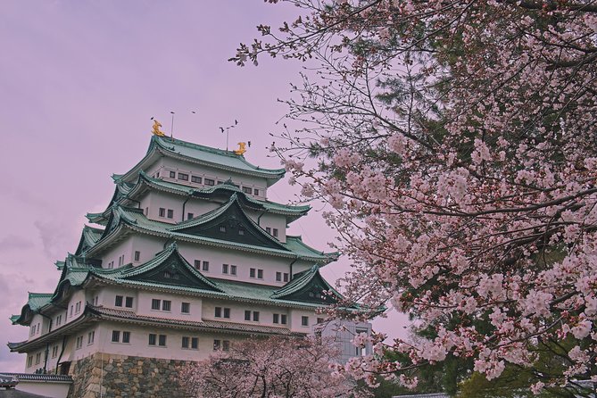 Nagoya Custom Full Day Tour - Exclusion Details